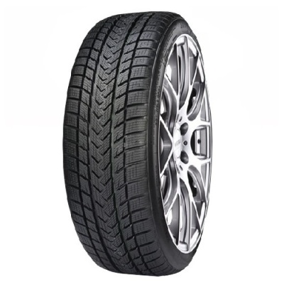 2453520 95V Gripmax PRO WINTER