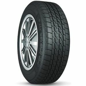 1858014 102R NANKANG AW8
